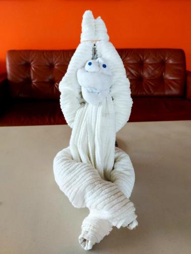 20Monkey-towel-folding