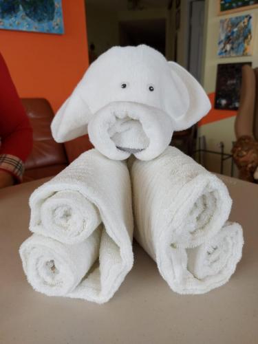21Pig-towel-folding